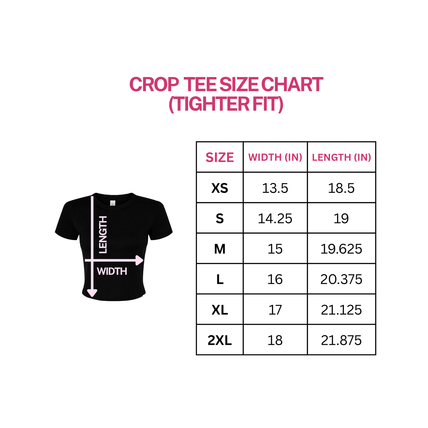 Everyone Watches Crop Tee (Minimal Design)